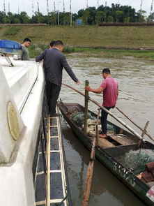 南溪區(qū)開展國慶節(jié)前漁船安全生產(chǎn)專項(xiàng)檢查，確保畜牧漁業(yè)飼料銷售與漁業(yè)生產(chǎn)安全